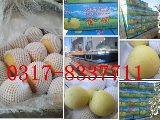 山東威海客戶訂做的鑄鐵平臺(tái)和100箱泊頭鴨梨裝車發(fā)貨